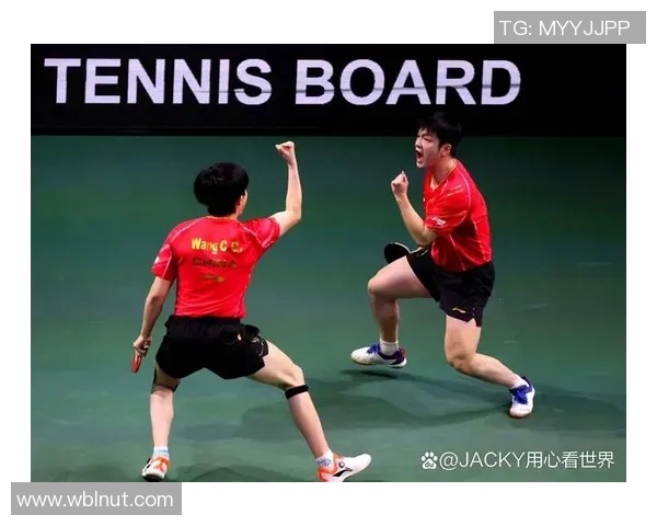 杭州羽毛球队的战术调整与比赛节奏分析及未来发展方向探讨