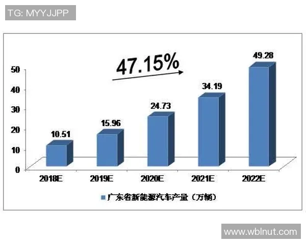 武汉足球队运营新模式探讨与未来发展前景分析